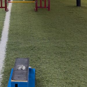 Flyball bij Hondencentrum Zeeland
